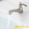 Vòi lavabo lạnh Navier NV-721L