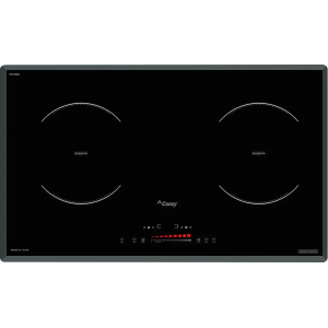 Bếp Từ Đôi Canzy CZ TL67A