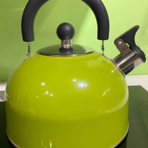 Ấm Đun Nước Màu Đen Chính Hãng Faster FS-2500ML-XANH