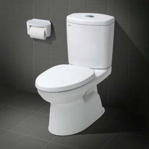 Bồn cầu 2 khối Inax AC-702VRN (Kháng khuẩn)