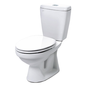 Bồn cầu 2 khối inax C-108VTN (Nắp êm)