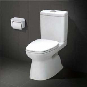 Bồn cầu hai khối Inax AC-808VN (Nắp êm)