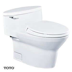 Bồn cầu một khối TOTO CW904W/F (Nhập khẩu)